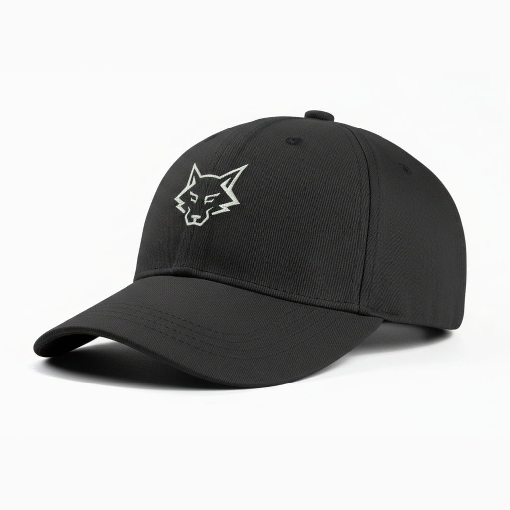 Alphahood Black Baseball Cap