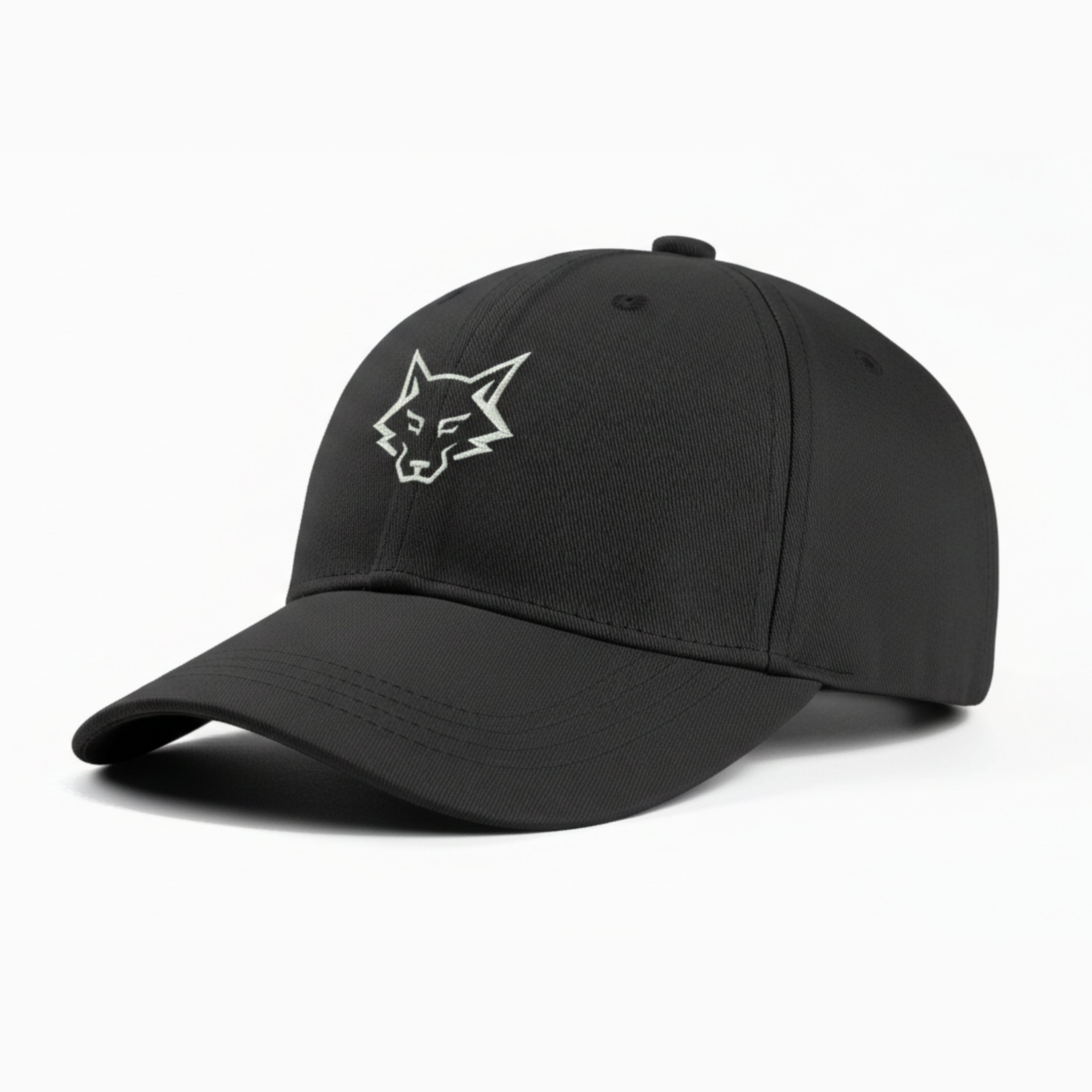 Alphahood Black Baseball Cap
